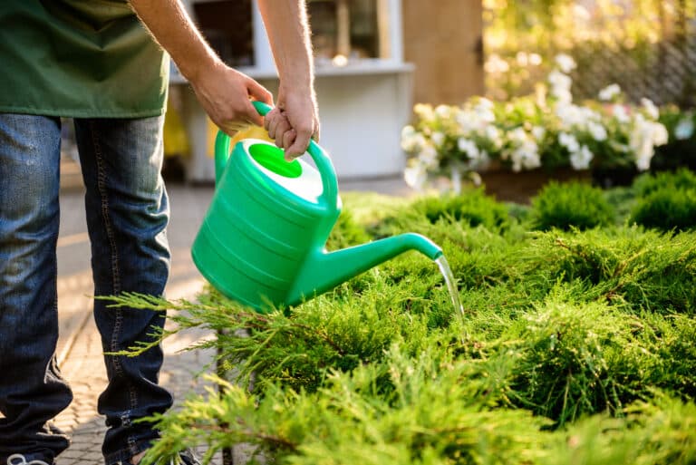 Garden Maintenance Perth | Plants & Garden Maintenance Programs